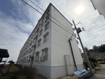  2025年3月撮影