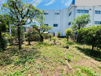 現地土地写真 -
