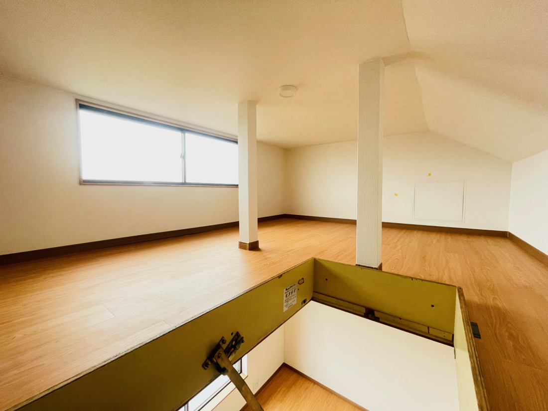 ���̑����� -