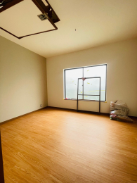 ���r���O�ȊO�̋��� -