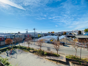 �Z�˂���̒��]�ʐ^ -