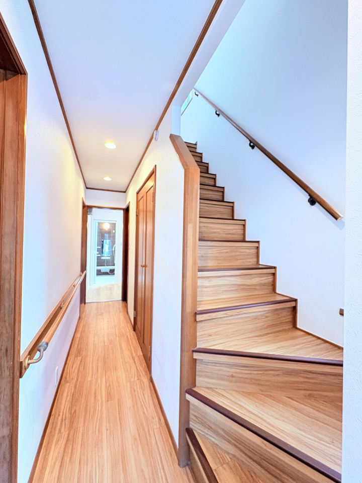 ���̑����� -