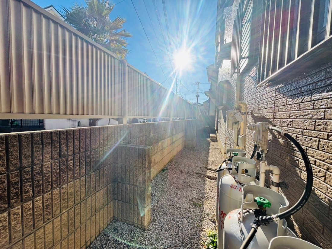 ���̑� ���n�i2026�N�P���j�B�e