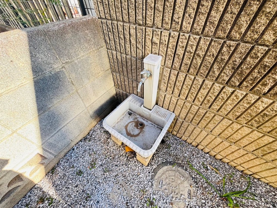 ���̑� ���n�i2026�N�P���j�B�e