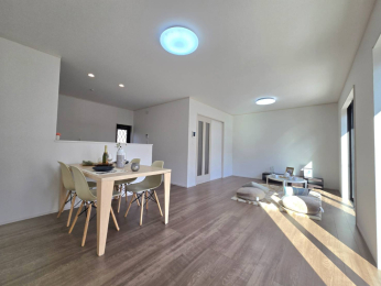 ���d�l�ʐ^(���r���O�j -