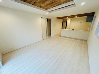 ���d�l�ʐ^(���r���O�j -