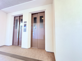 ���̑����� -