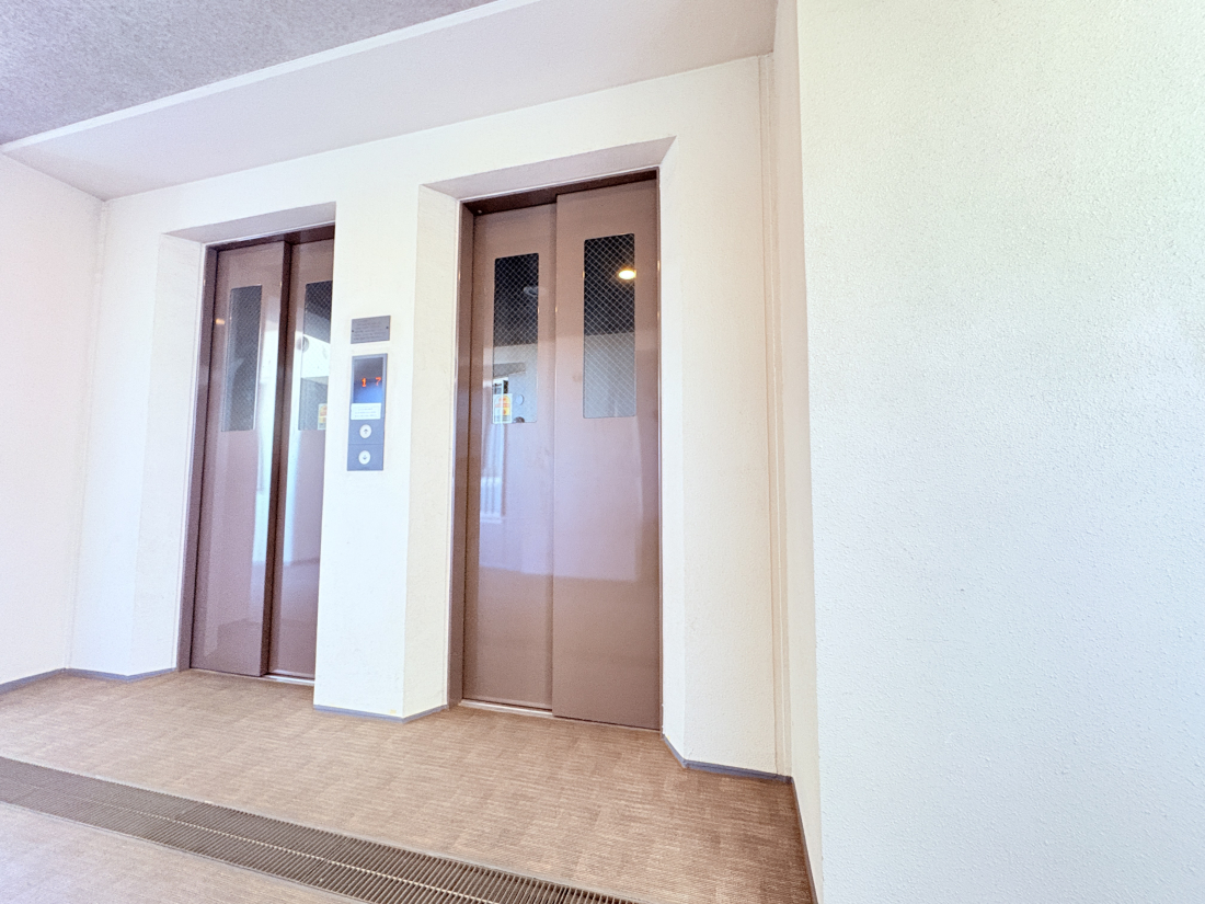 ���̑����� -