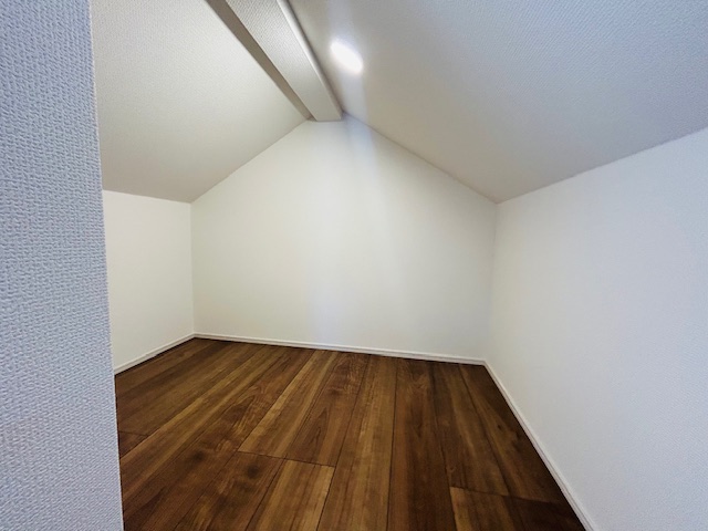 ���̑����� ���t�g�{�H��