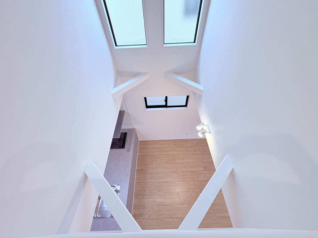 ���̑����� -