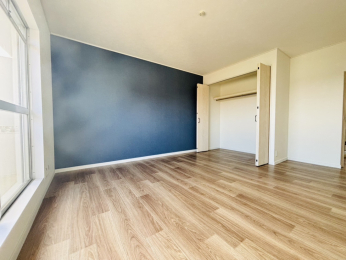 ���r���O�ȊO�̋��� -