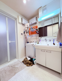 ���ʑ�E���ʏ� -