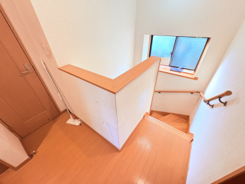 ���̑����� -