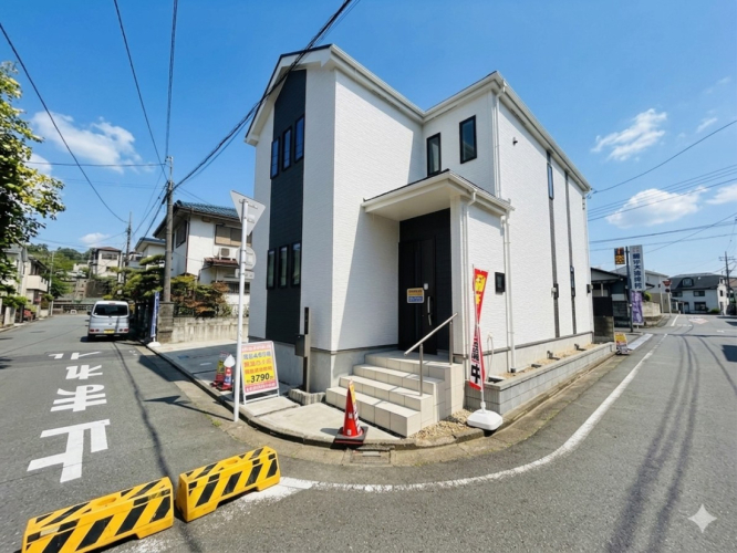 ���n�O�ώʐ^ -