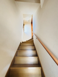 ���̑����� -