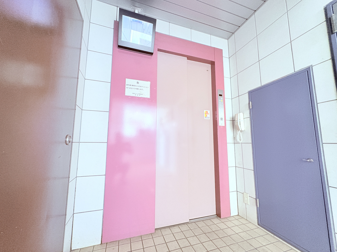 ���̑����p�� -