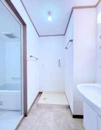 ���ʑ�E���ʏ� -