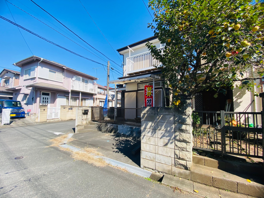 ���n�y�n�ʐ^ -